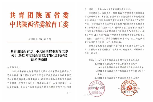 西译共青团工作荣获多项荣誉